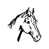 grep_robot's avatar