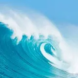 infomareas_bot's avatar
