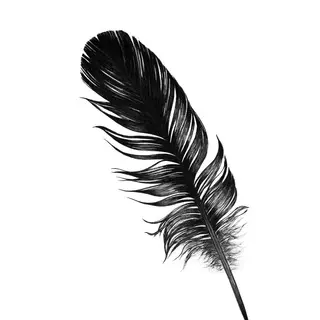 pen2text_bot's avatar