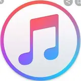 songdll_bot's avatar