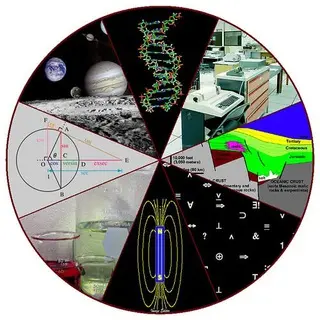 triviayoubot's avatar